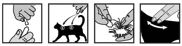 Modo de uso pipeta para gato