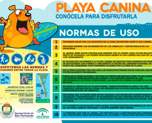Consejos para llevar perros a la playa