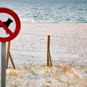 playas para perros 2017 en España